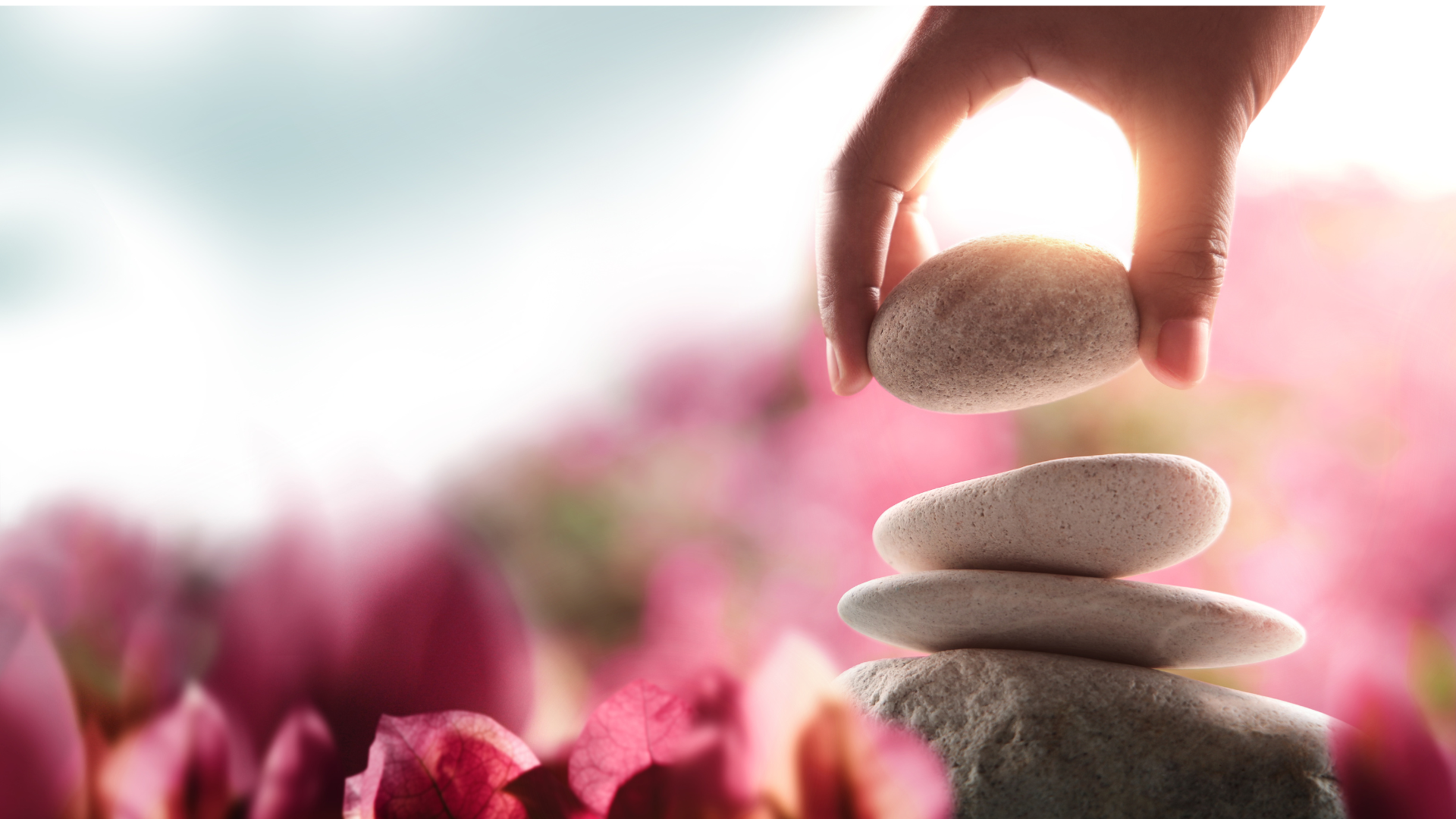 힐링 핸즈 실습