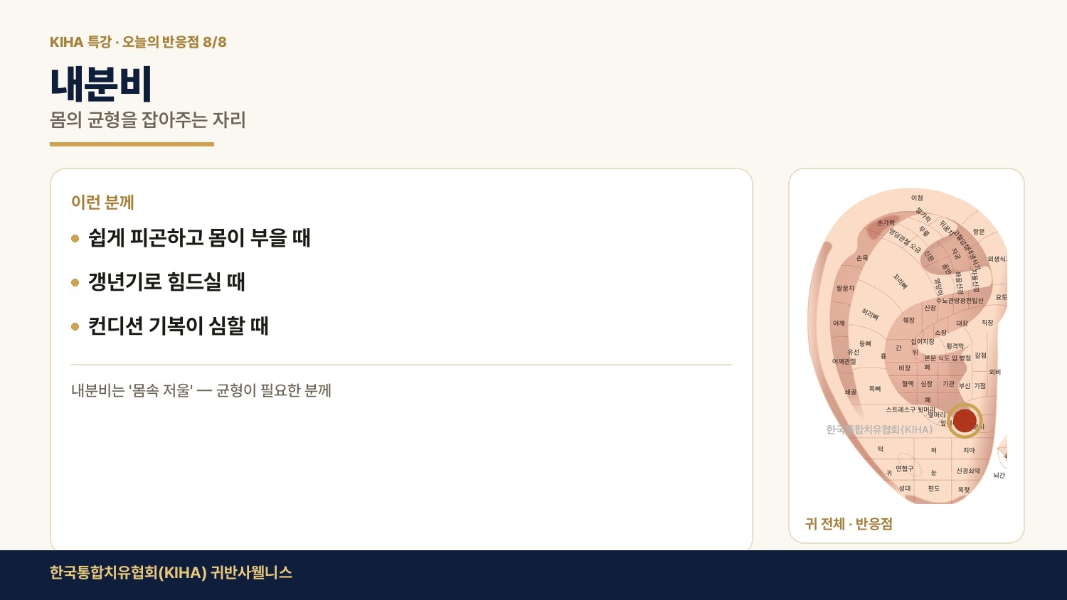 내분비 반응점 — 몸의 균형을 잡아주는 자리