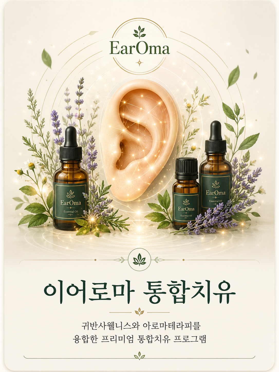 EarOma™(이어로마) 아로마 오일과 귀 일러스트