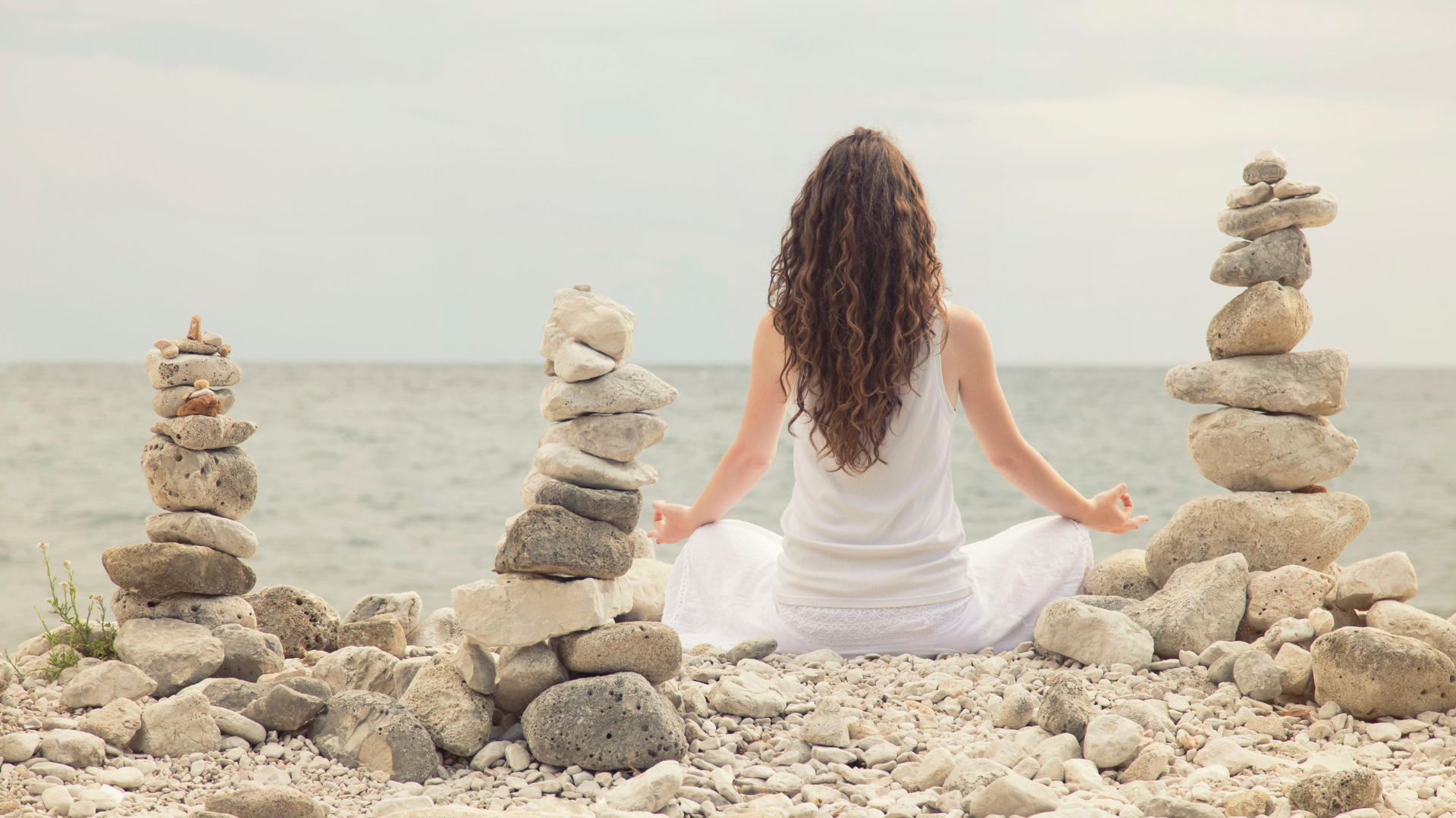 웰니스 센터 운영